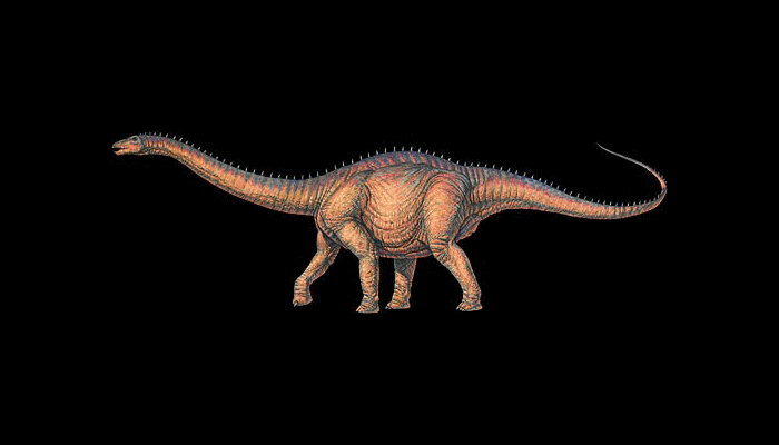 Pterodactyl Watercolor Dinosaur Art Print Signed by Artist Dan -  Israel