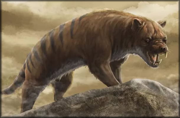 Toyvian 200 Pezzi Di Ornaenti Di Natale Ganci Tappi Ornaentali