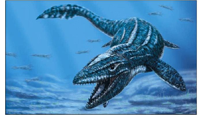 Dinosaurs|Extinct Life|Extinction|Prehistoric Animals|The Dinosaur Fan