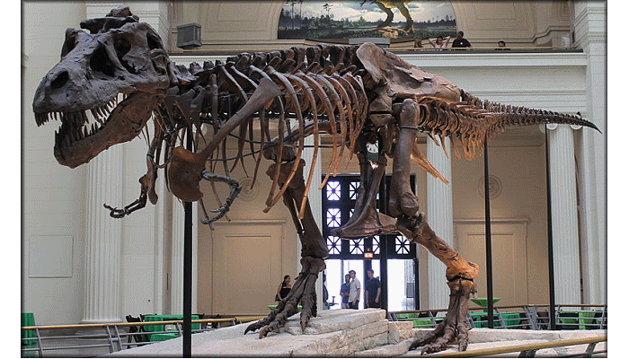 Dinossauro 3D - Tiranossauro Rex - Mini Gênio